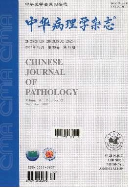 中华病理学封面
